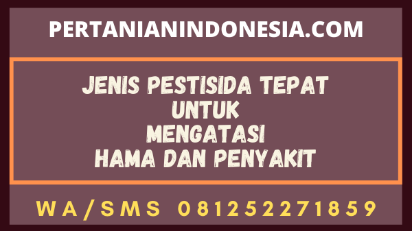 Jenis Pestisida Tepat Untuk Mengatasi Hama Dan Penyakit